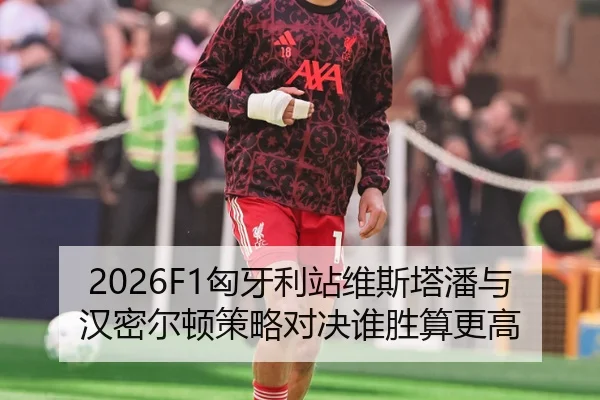 2026F1匈牙利站维斯塔潘与汉密尔顿策略对决谁胜算更高