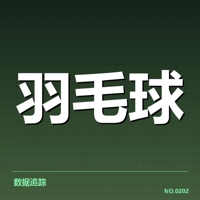 林丹羽球告别赛：传奇球员未来何去何从
