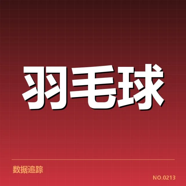 羽毛球双打战术升级：顶级组合战术革新成效如何